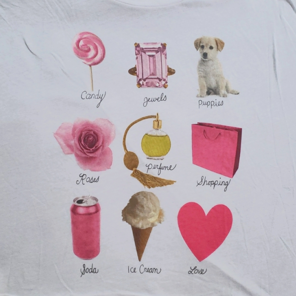 NWOT WILDFOX "Sweetest Things" Oversized Tee